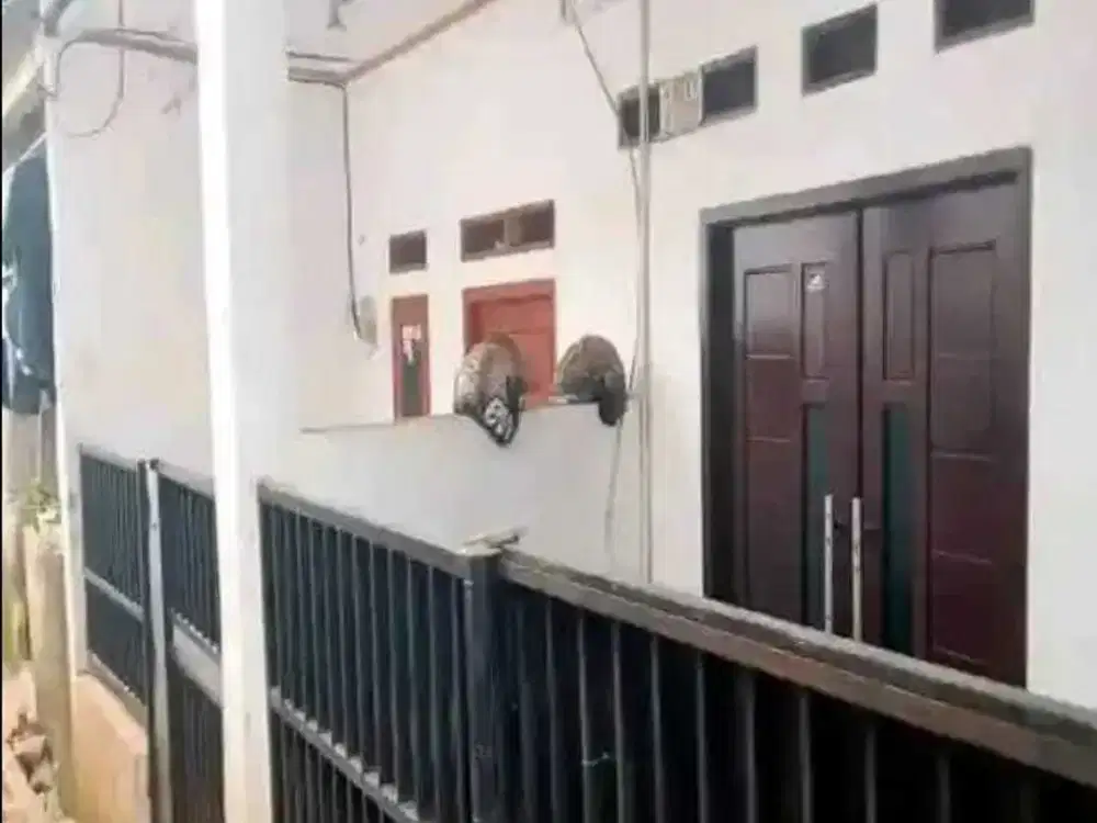 Dijual rumah petak 3, 2 pintu di Pondok Bahar
