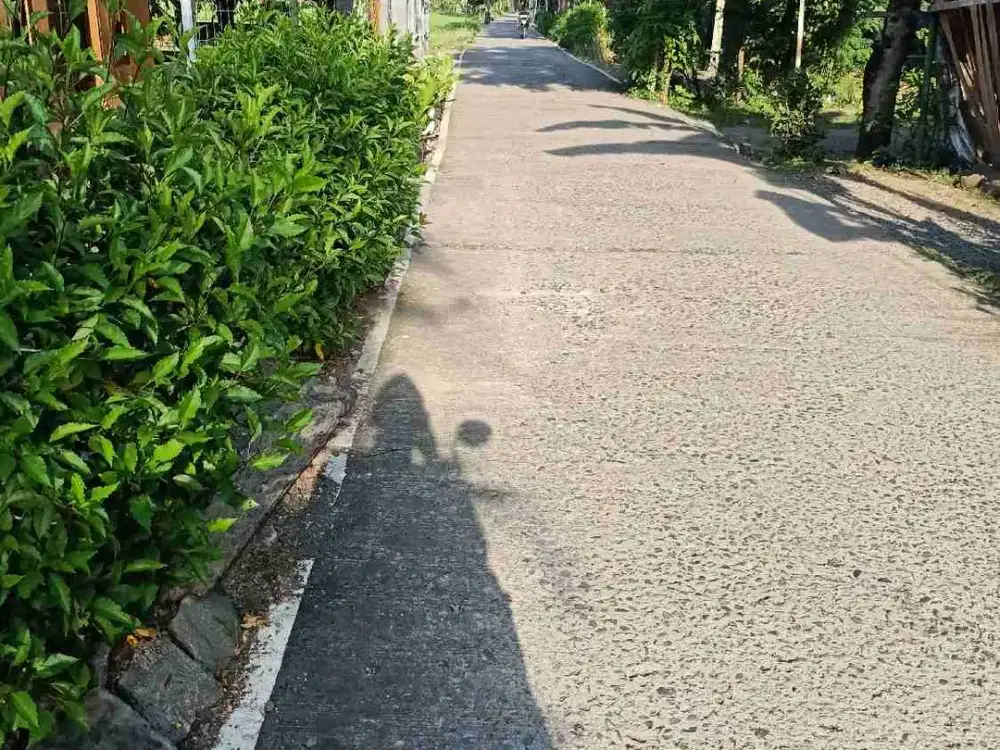 tanah strategis pusat kota Kesesi