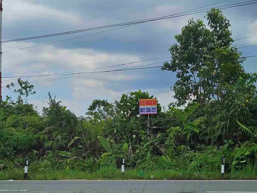 Disewakan Tanah Kariangau KM13