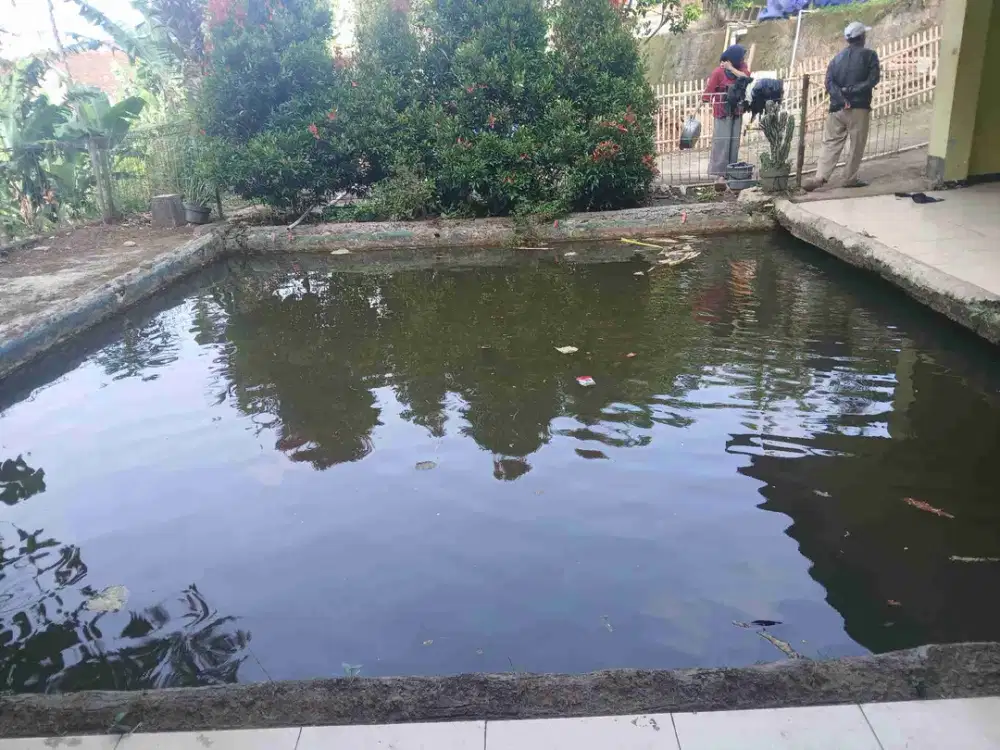 jual Rumah & Kolam