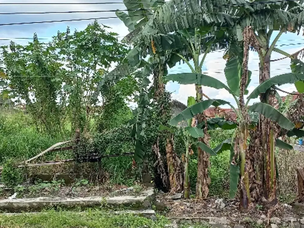 DiJual Tanah Singopuran Kartasura Solo