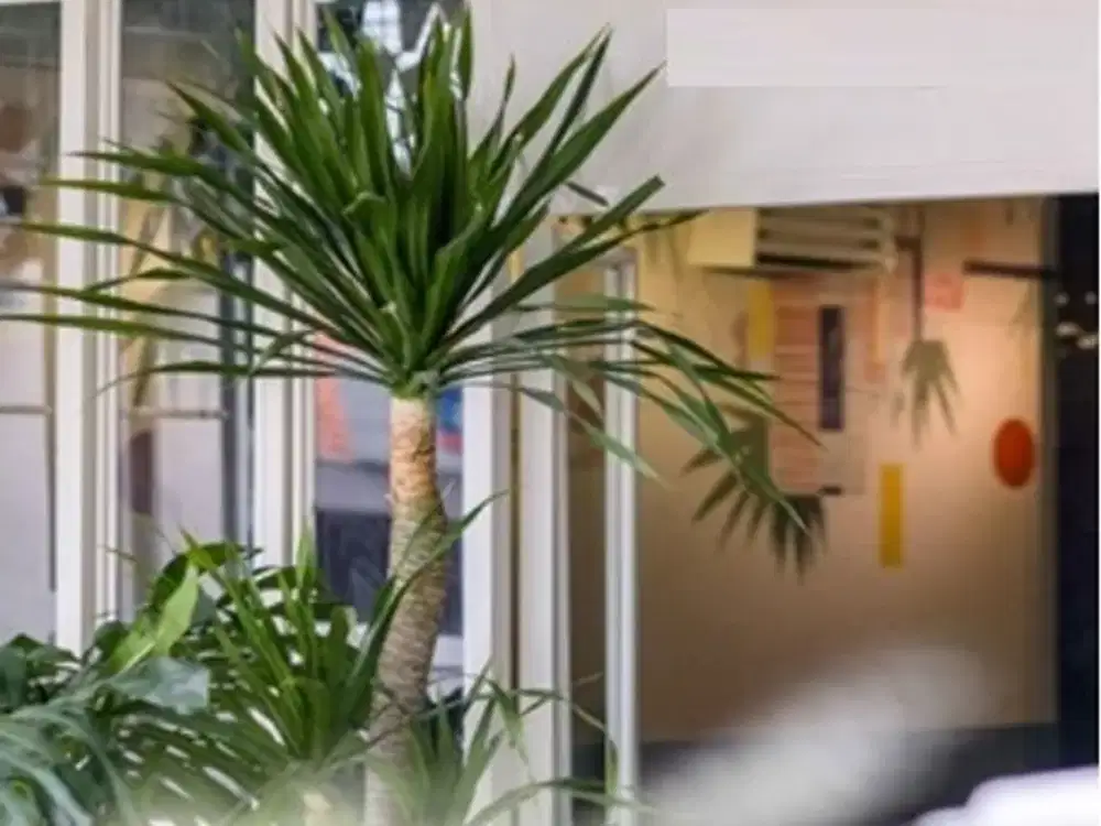 Hunian Komersial Co-Living, Strategis Dekat dengan Bandara Bandung