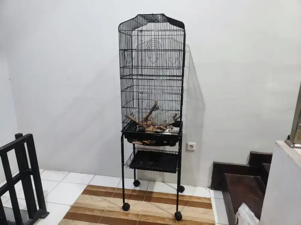 Kandang Burung Parkit, Falk, Lovebird, Sugar Grilder Beserta Rak
