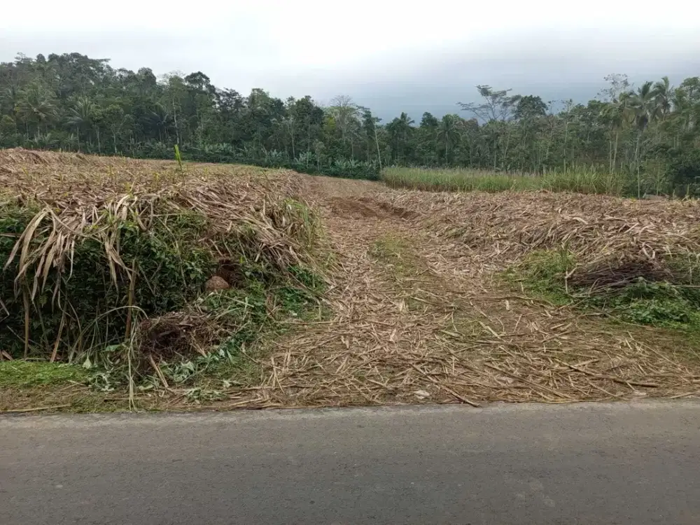 TANAH POROS JALAN DESA SUMBER TEMPUR WONOSARI KABUPATEN MALANG