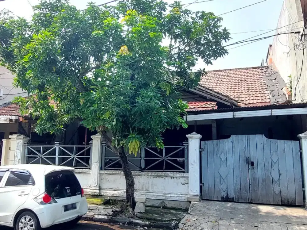 Termurah Rumah Cocok Untuk Kost Siwalankerto