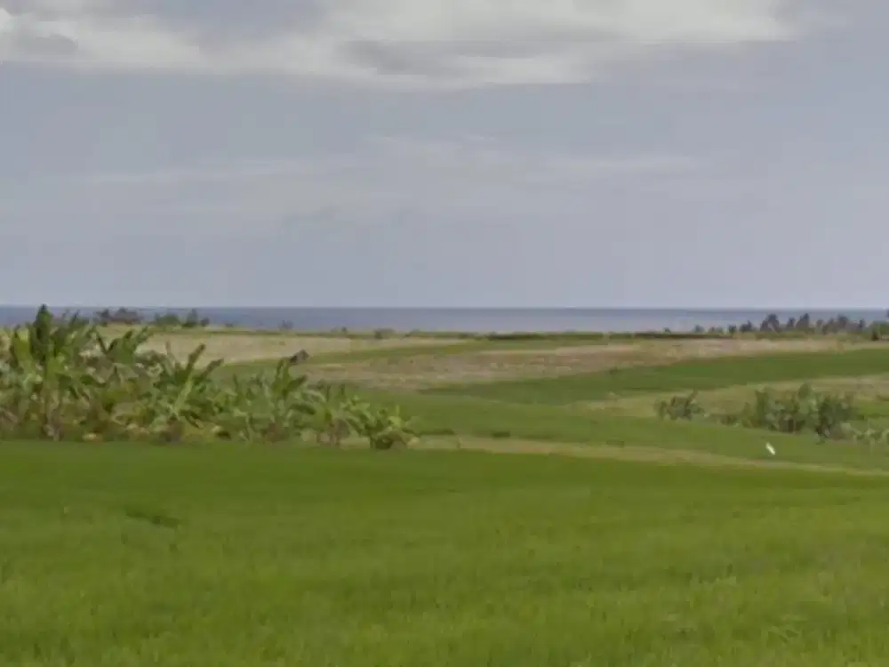 Tanah Zona Pink dekat Pantai Kelecung Tabanan Bali
