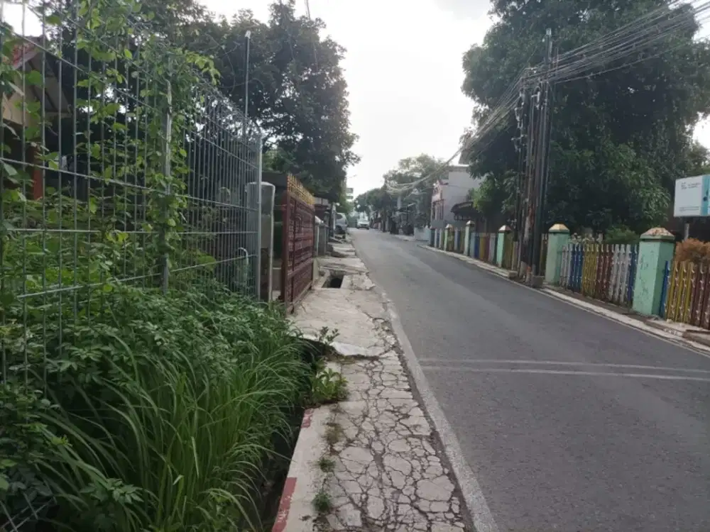 Tanah Tembalang Jangli Dekat Undip Jatingaleh