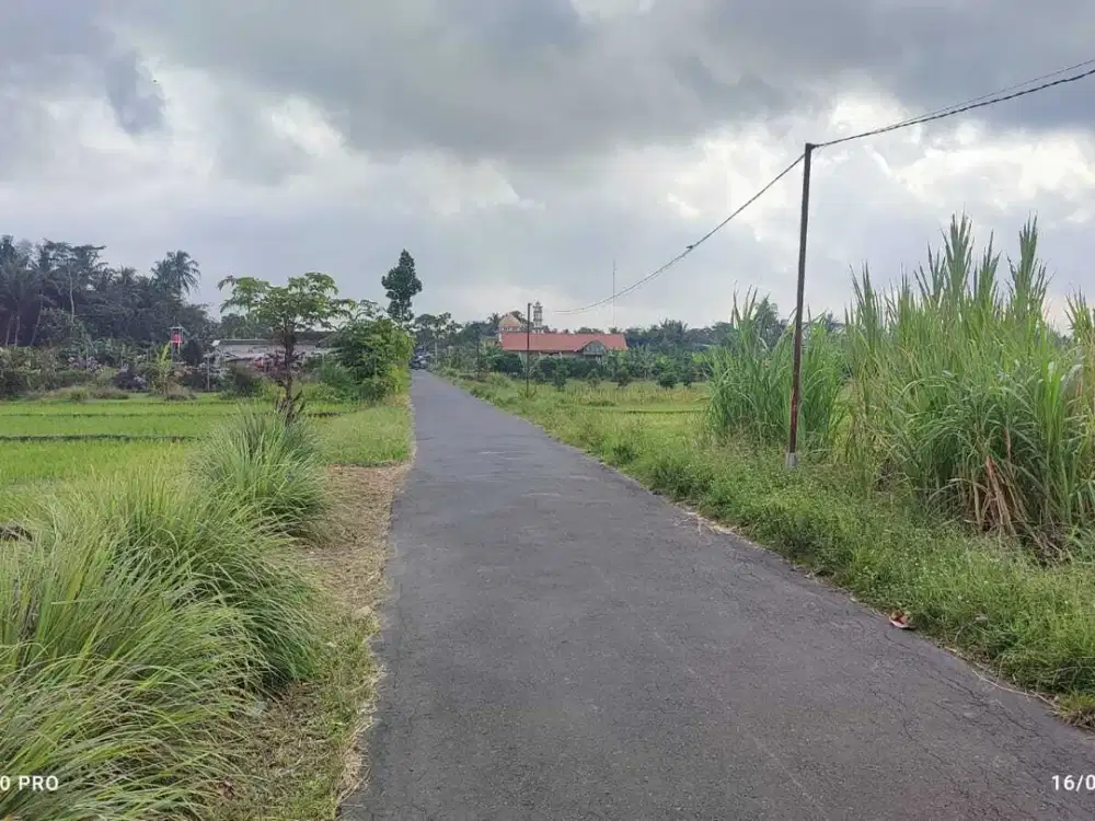 DIJUAL TANAH SAWAH DEKAT PASAR DI SLEMAN YOGYAKARTA