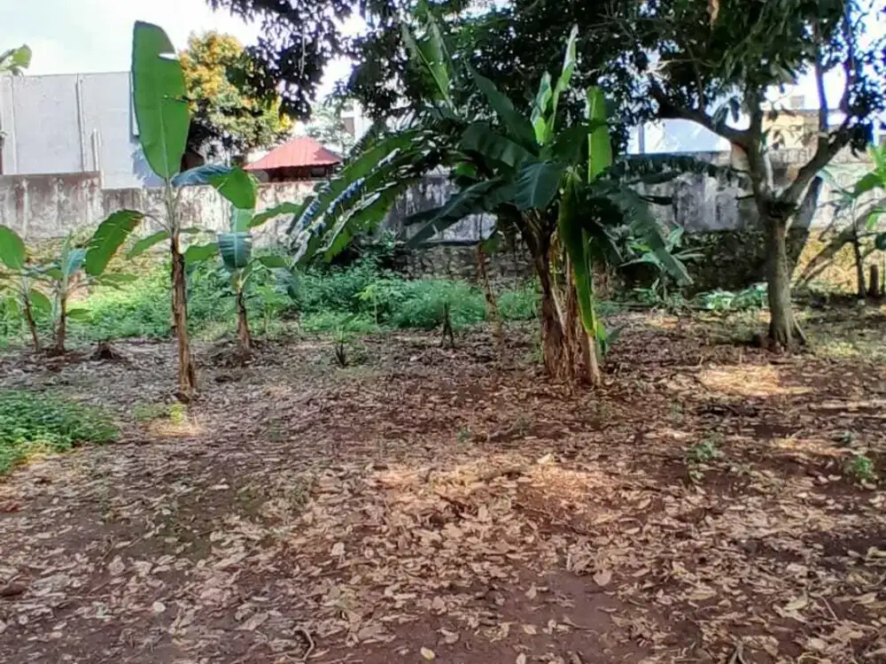 Tanah Banyumanik Pudak Payung Dekat Undip Tembalang