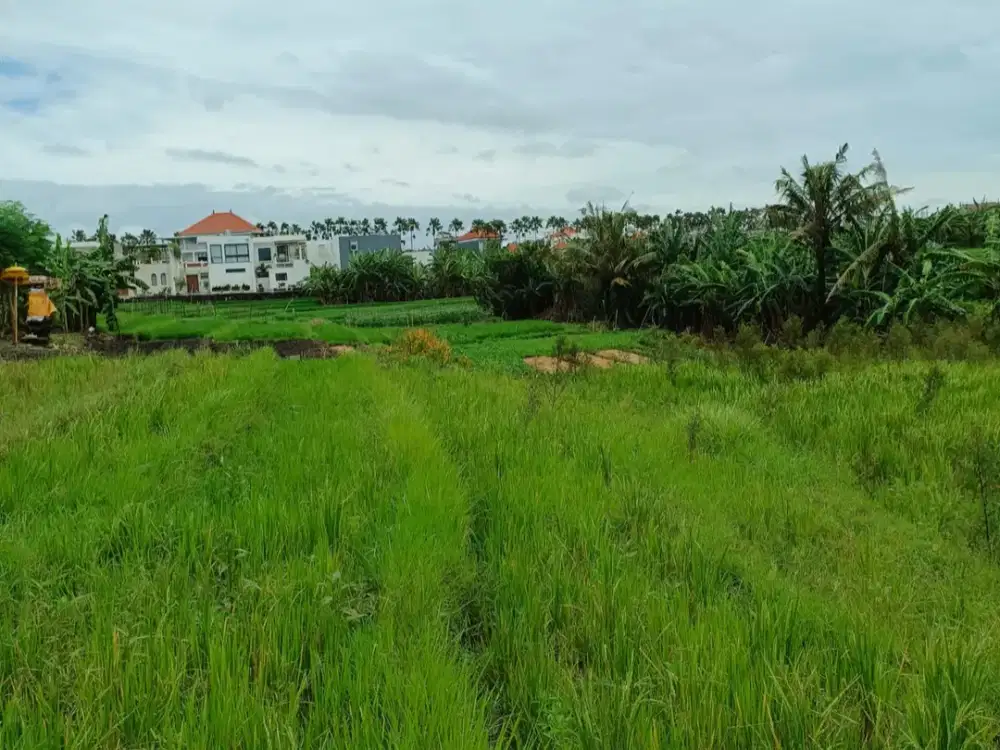 Tanah di Tumbak Bayuh dekat Pererenan dan Canggu Bali