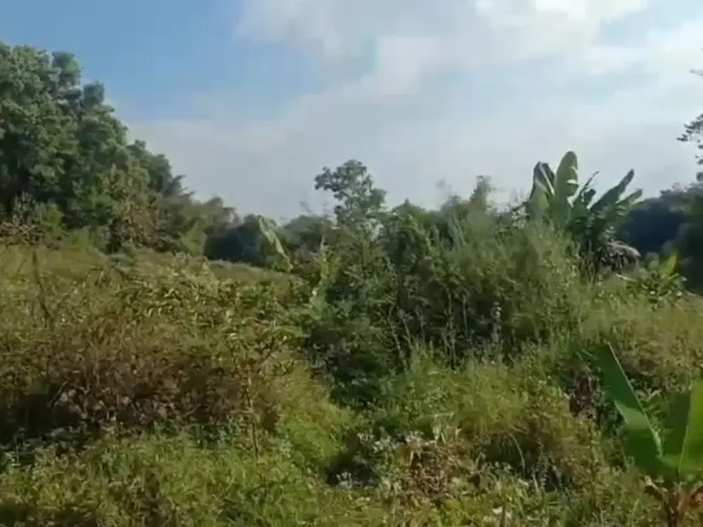 Dijual Cepat Tanah Pinggir jalan di Paseh Majalaya