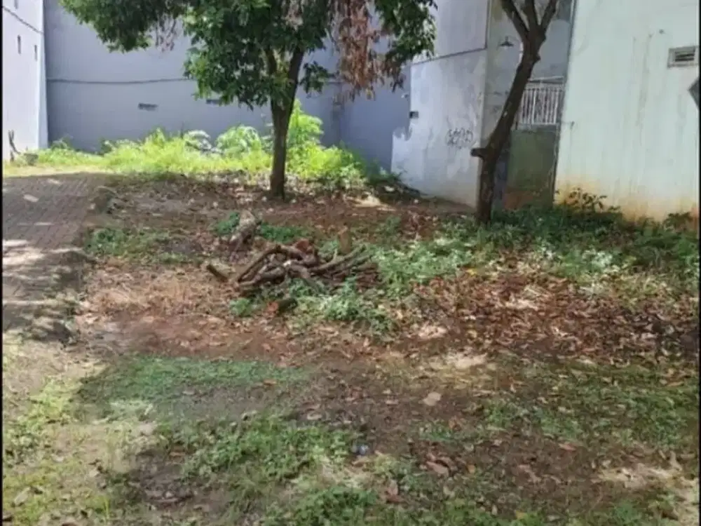 Tanah Tembalang Bulusan Utara Undip