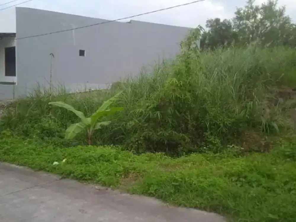 Tanah Tembalang Burangrang Dekat Undip