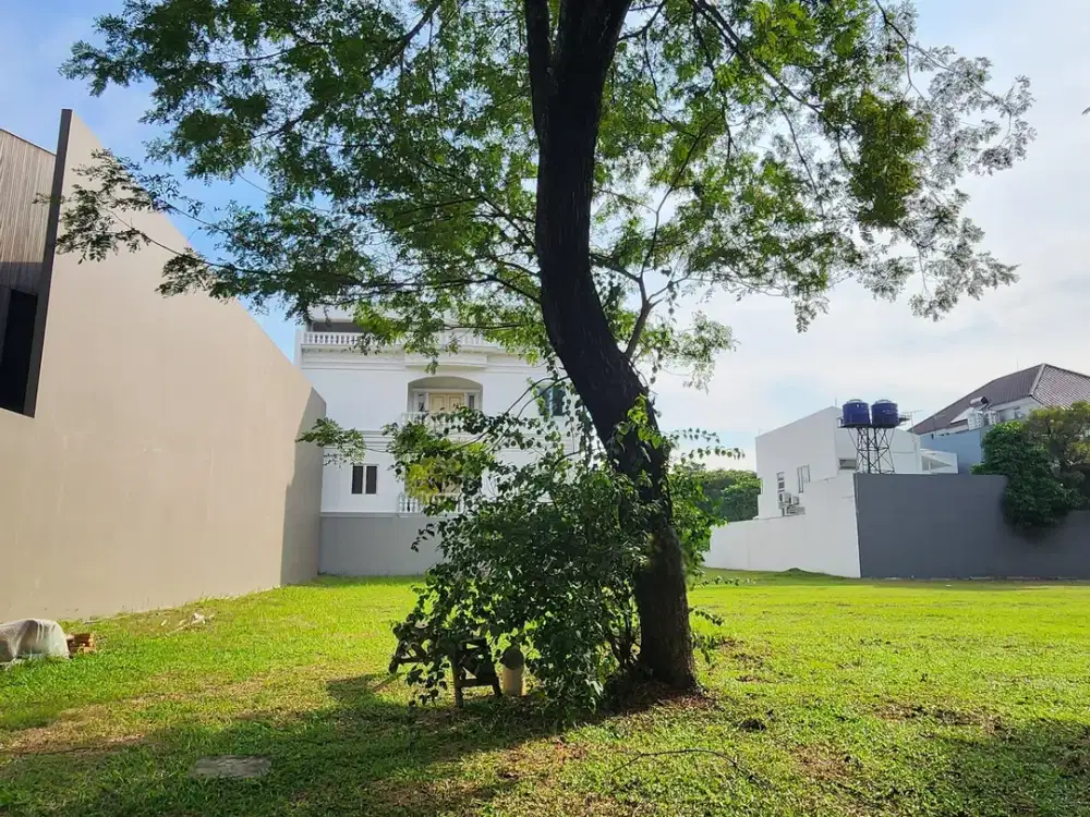 Nego Sampai Deal Kavling Hadap Timur Laut di Telaga Biru Alam Sutera