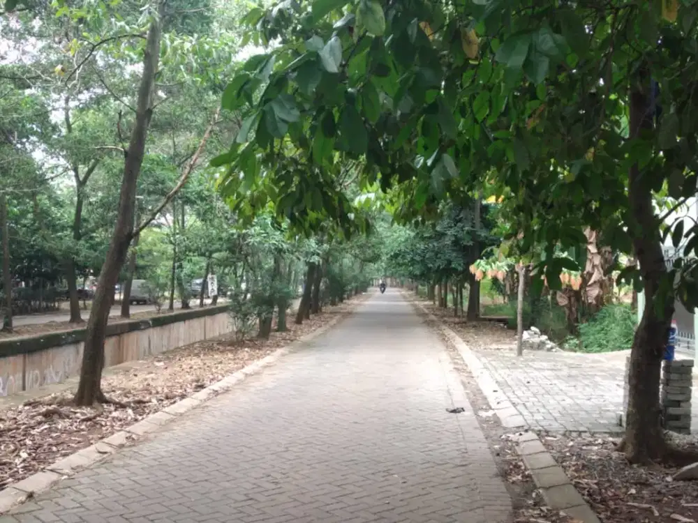 Dijual cepat Kav Tanah di Gunung Raya Cirendeu