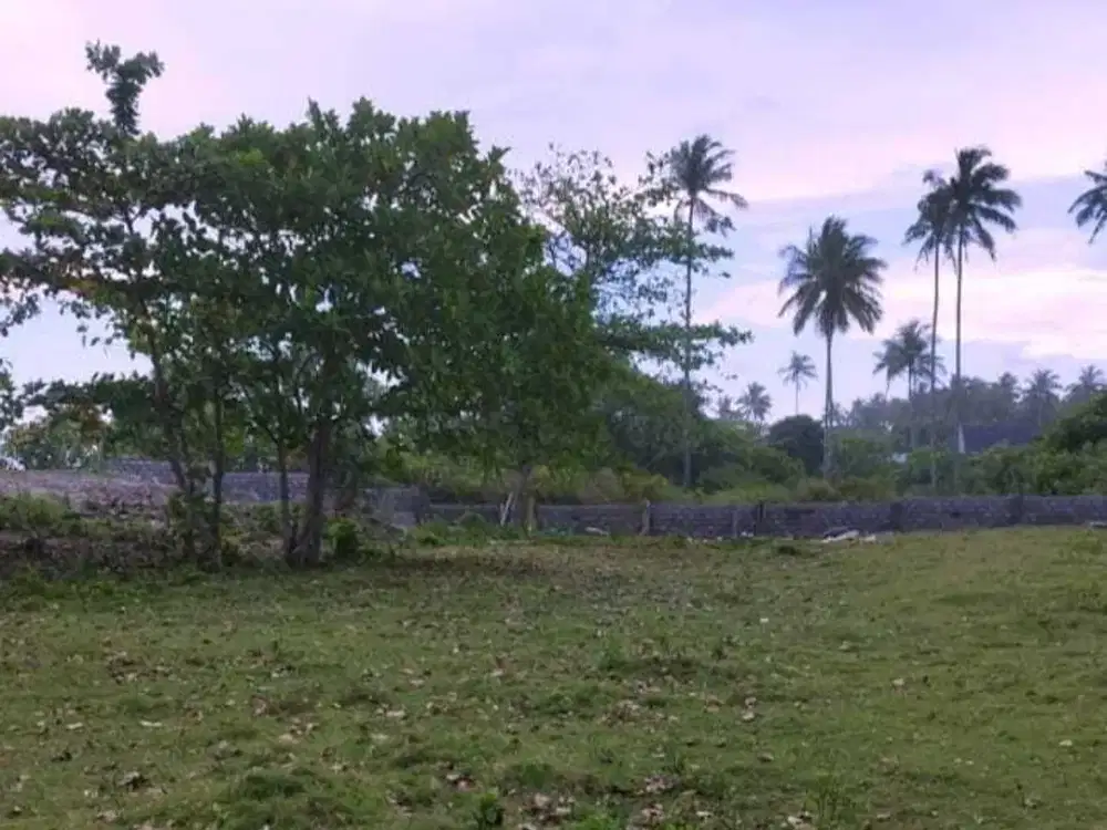 TANAH VIEW PANTAI DEKAT MANDIRI BEACH KRUI LAMPUNG