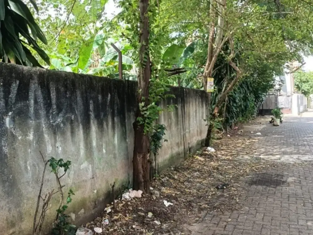 Tanah di Tangerang Selatan