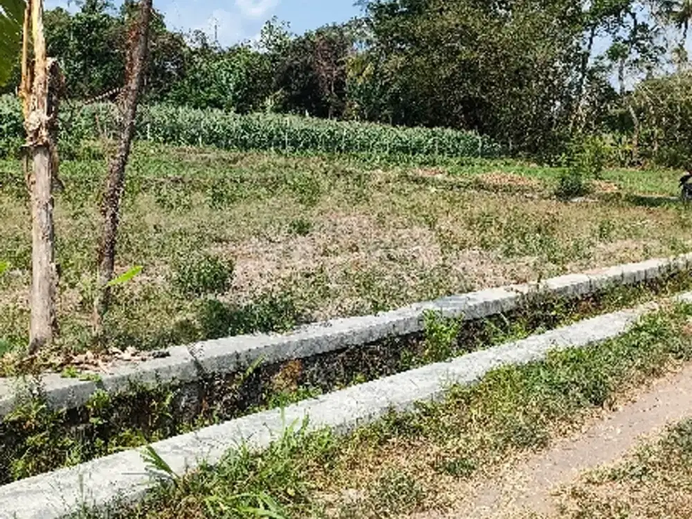 Dijual tanah pekarangan di manisrenggo 135m ld 9m murah 135jt