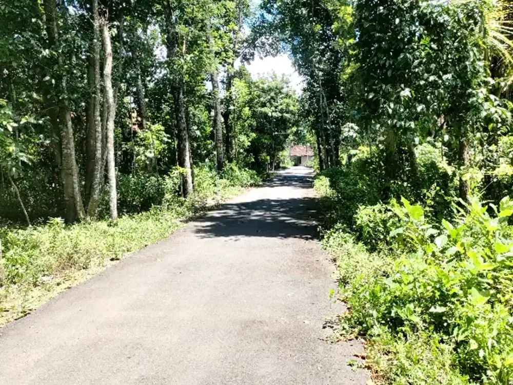 Di jual tanah di nangsri utara prambanan