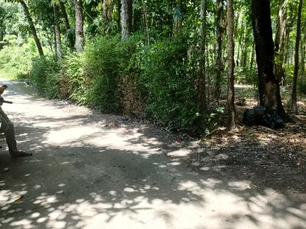 Di jual tanah di nangsri utara prambanan 332m ld 20m