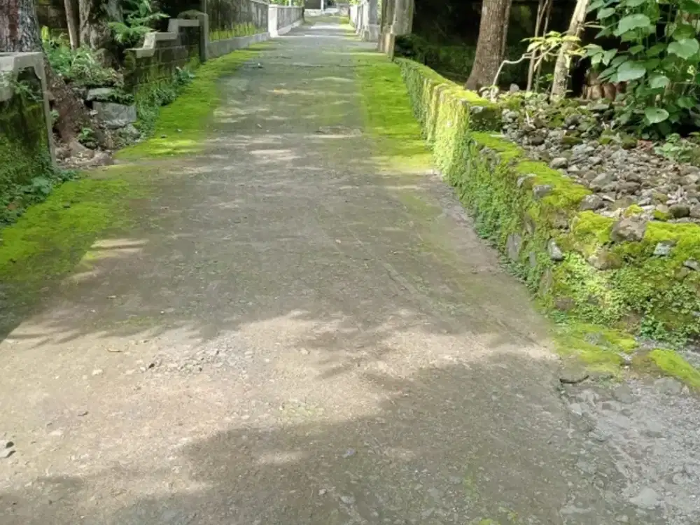 dijual tanah pekarangan 120m ld 7m  hrg  120jt di manisrenggo