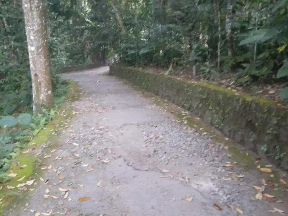 Dijual tanah pekarangan di cangkringan Sleman Yogyakarta