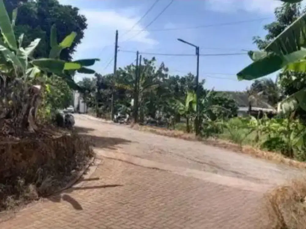 Tanah Tembalang Bulusan Undip