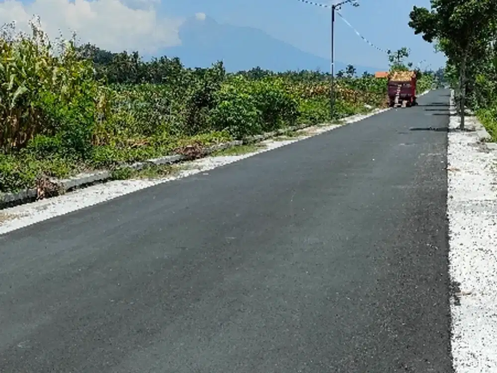 Dijual sawah di manisrenggo view mrapi dan hamparan persawahan