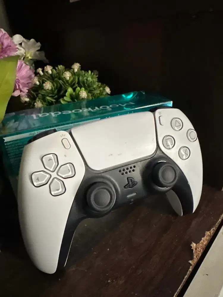 Stik PS5 second