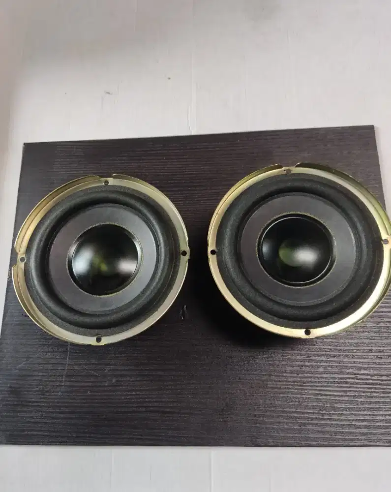 Subwoofer Bose Ori Mexico (2pcs)