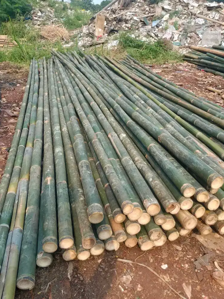Jual bambu steger cor panjang 6 meter