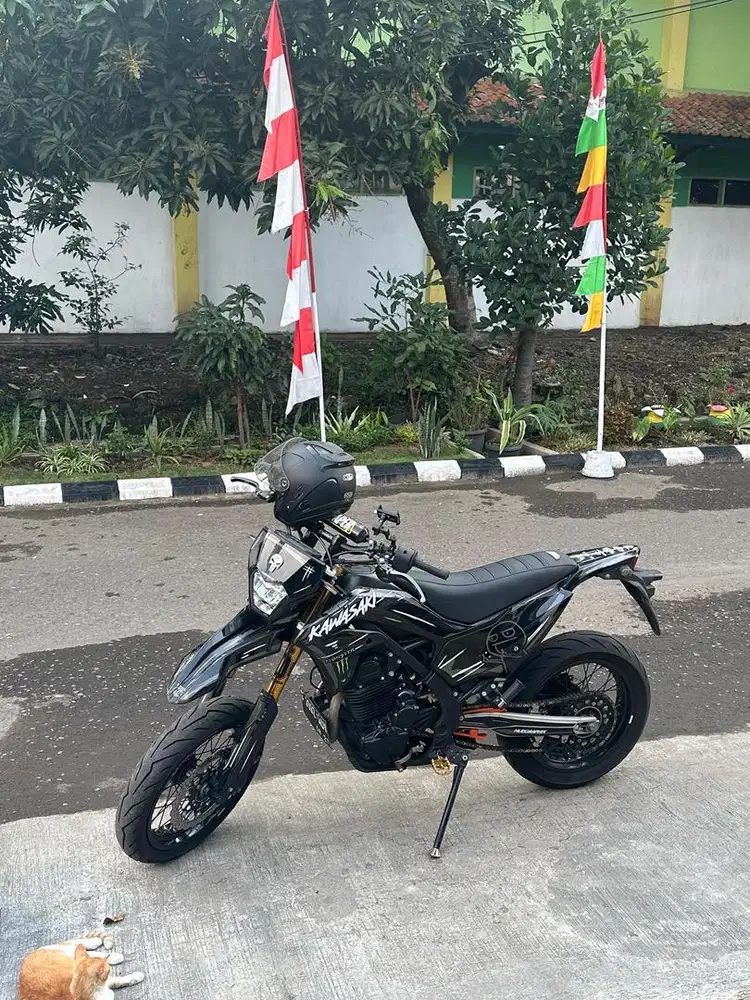 Kawasaki KLX 230 SM SE Supermoto
