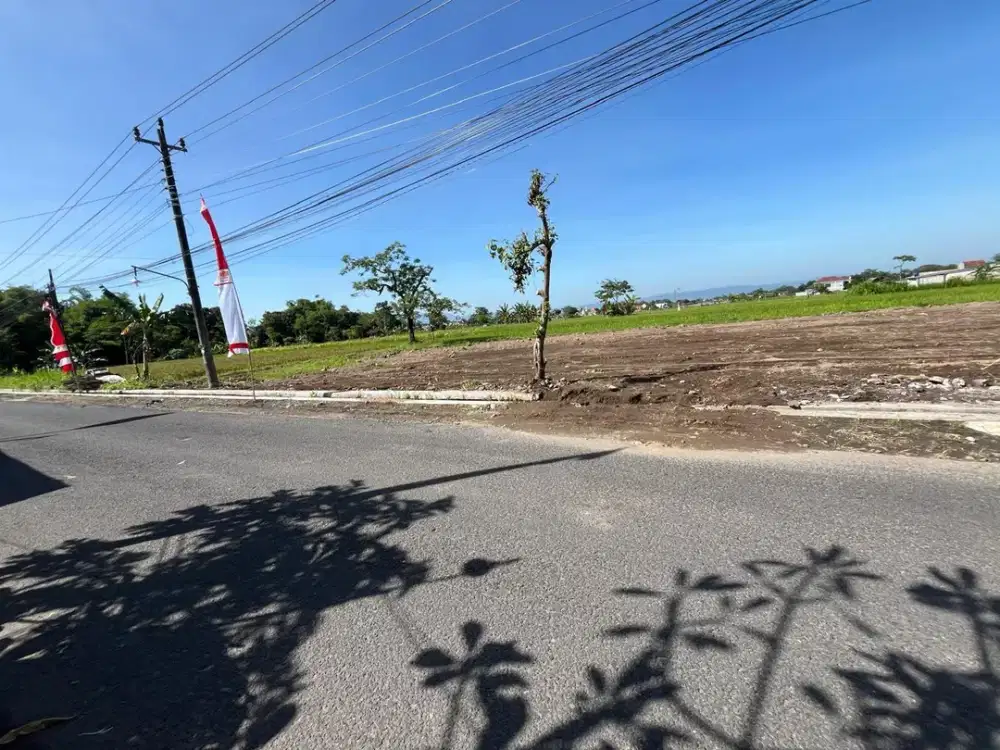 3 MENIT SMP Budi Mulia: Tanah Jogja Jl Tajem