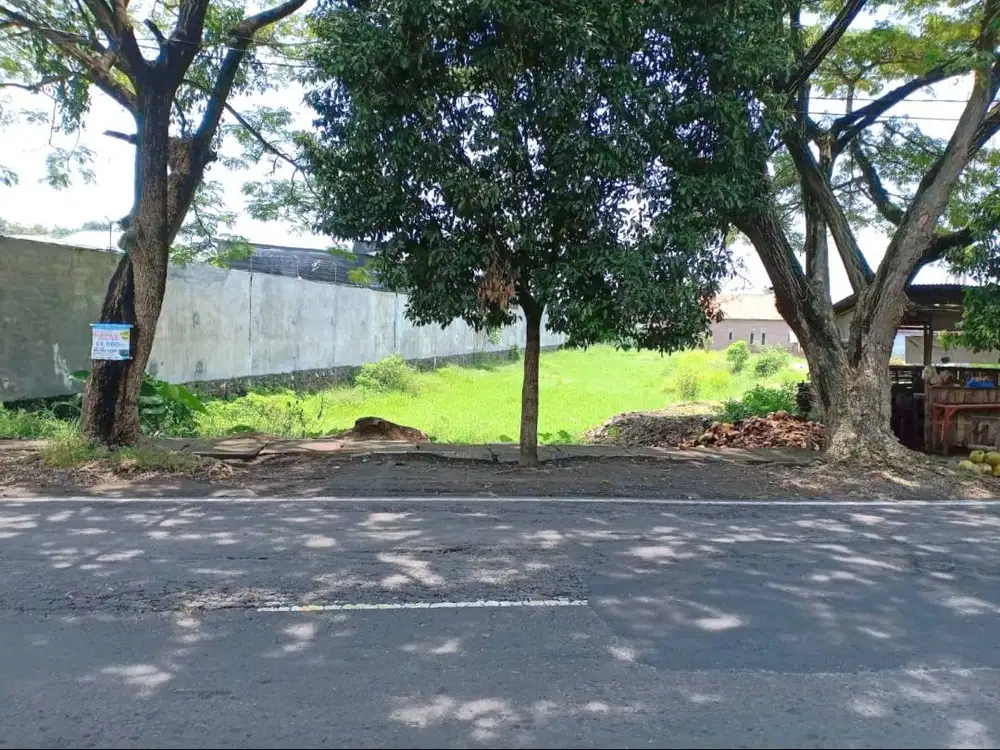 Lahan Tanah Kosong, Pasuruan Kota