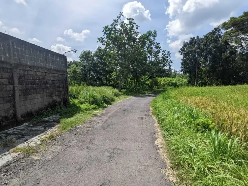3 JUTAAN: Tanah Dekat Jl Kapten Haryadi Jogja, View Sawah