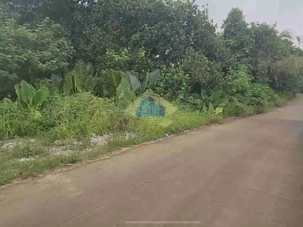 Dijual Tanah Murah Di Ciangir, Legok, Tangerang