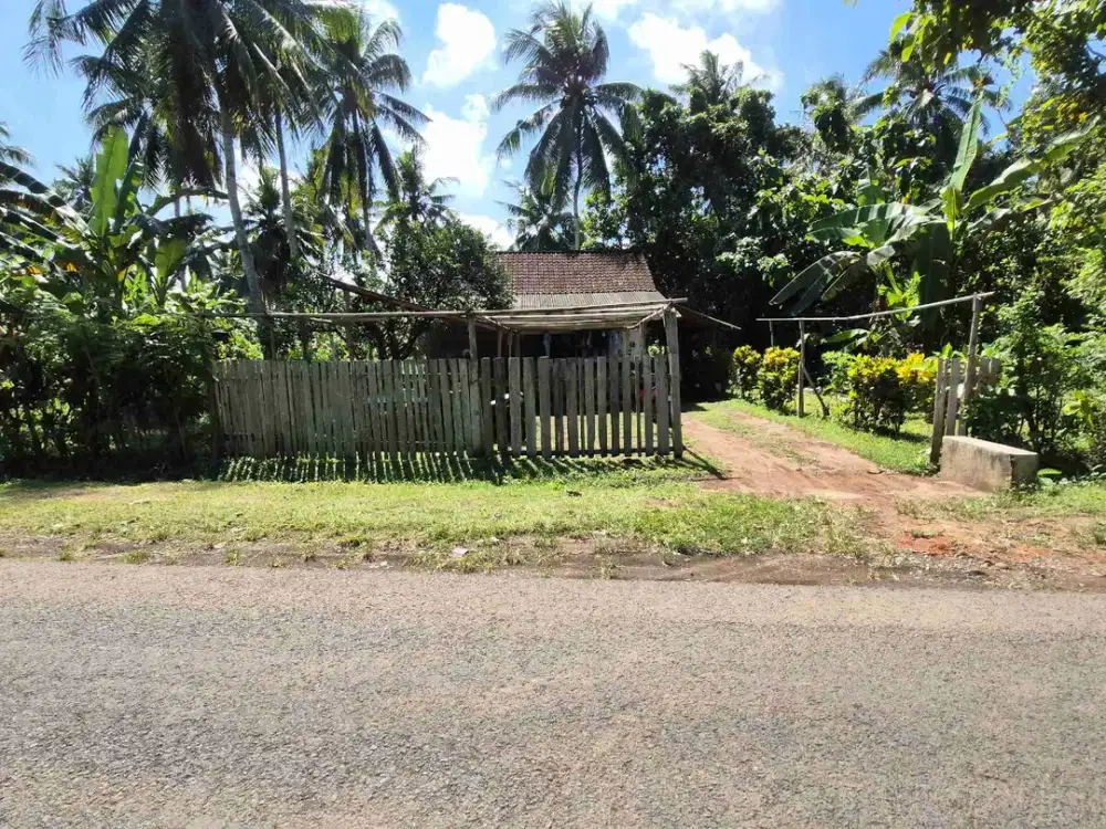 TANAH 20 ARE PINGGIR JALAN CUPEL JEMBRANA BALI