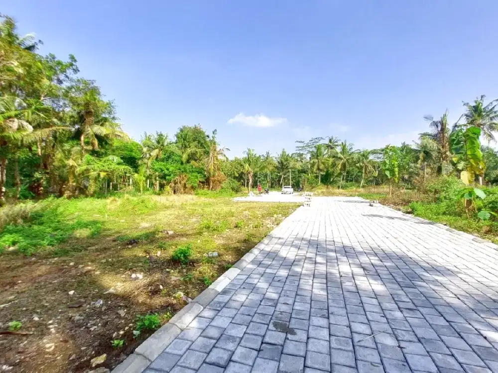 900 Rb-an Tanah Investasi Tawangsari Dekat Bandara YIA Jogja