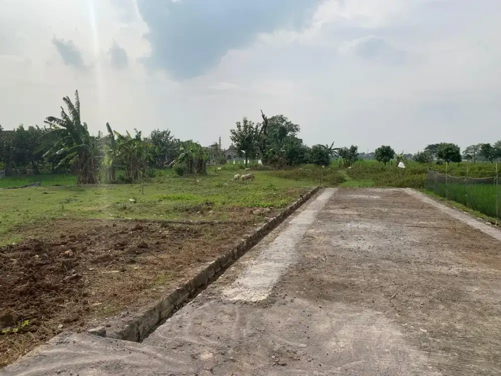 tanah lapang dijual