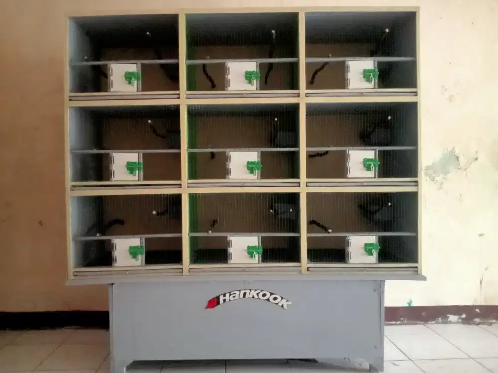 Kandang ternak burung