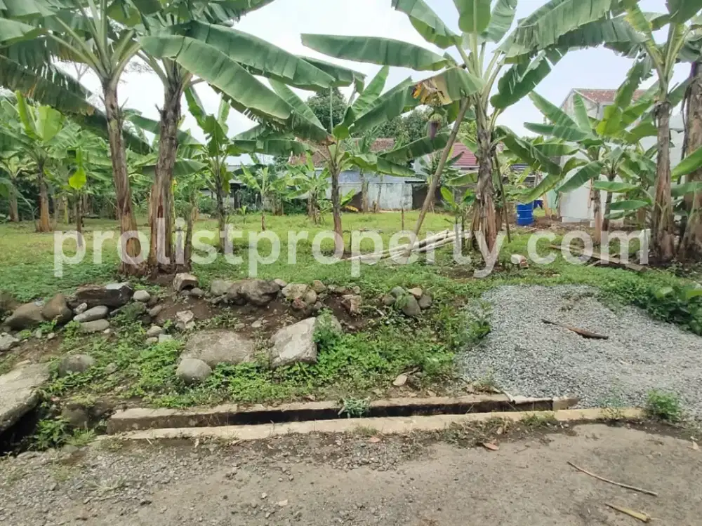 Tanah Kavling Murah Dekat SMA 3 Purwokerto