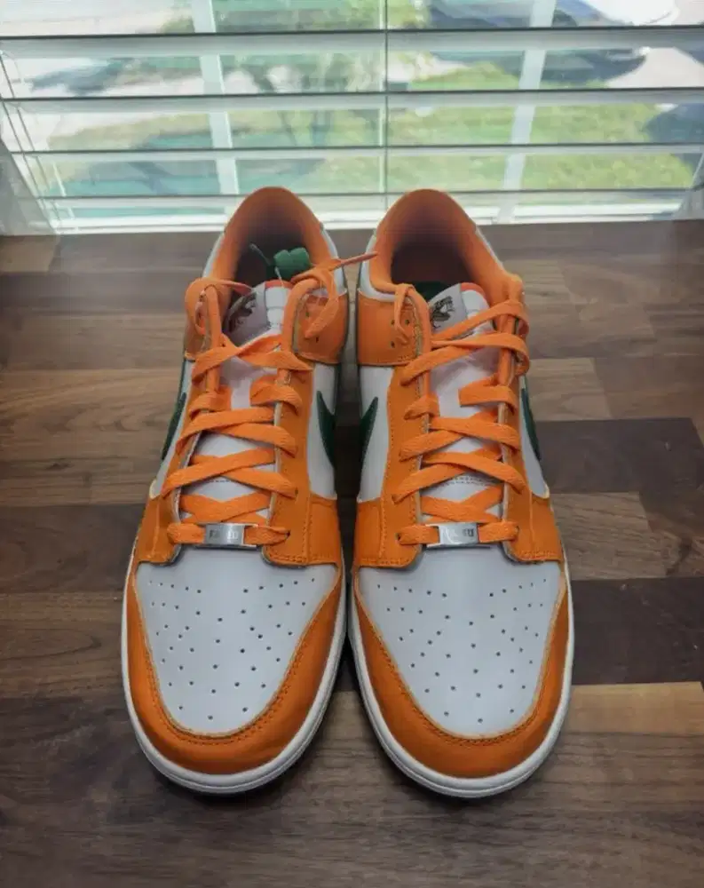 Nike Dunk Low Florida A&M. 