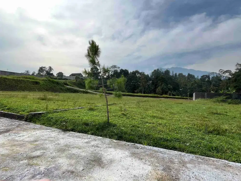 Tanah Luas 212m2 Di Megamendung Puncak Dekat Kopi Munjul