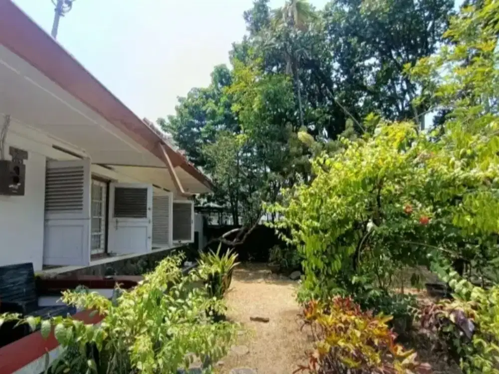 Rumah Terawat di Main Road Riau Jarang Ada Harga Nego