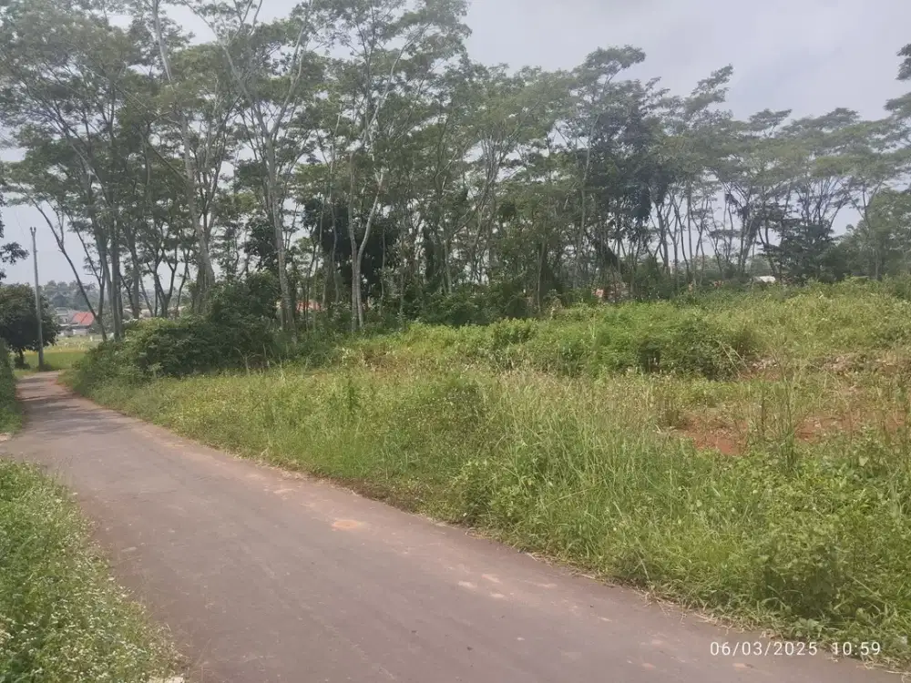 Tanah siap bangun, murah di Tegalsari Kandeman, luas 170m2, hanya 135 juta ( dekat lapangan Rowiru)