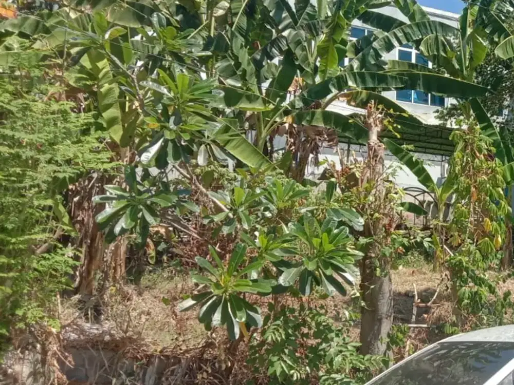 Dijual Tanah Dekat Dengan Pusat Kota Di Jl. Siblat Candisari Semarang