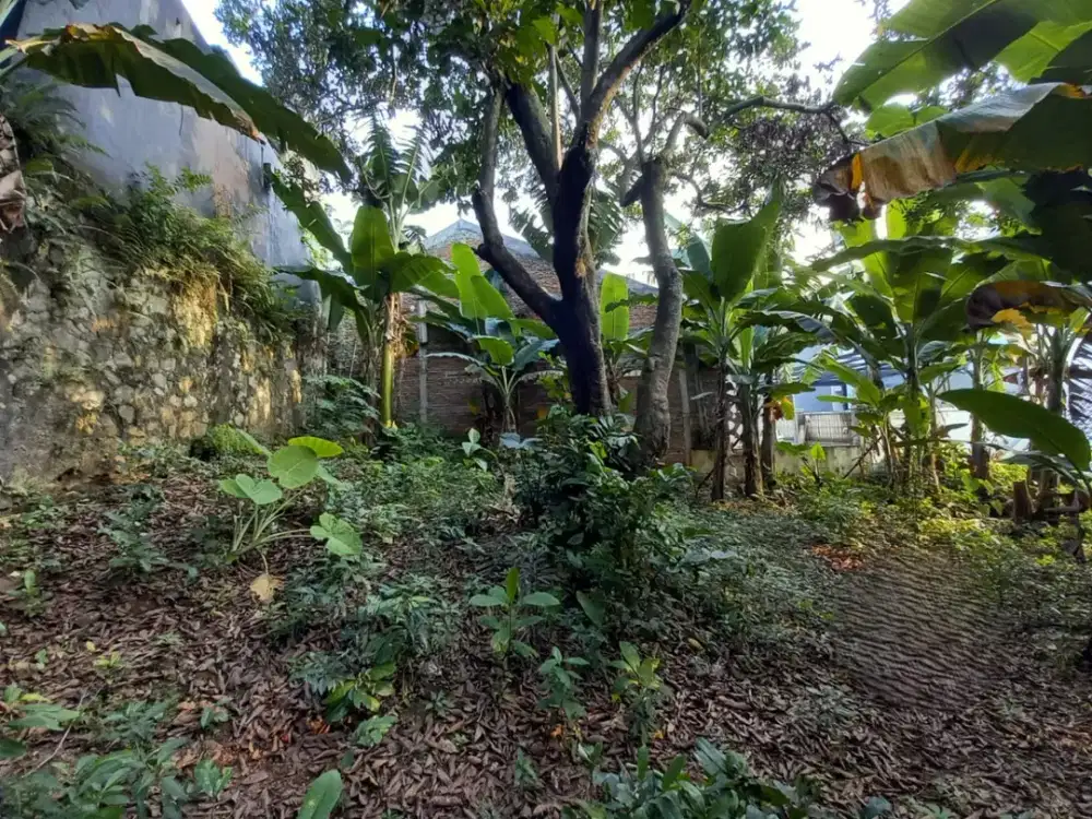 DIJUAL SEBIDANG TANAH DI JAGAKARSA JAKARTA SELATAN