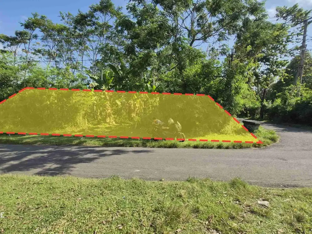 TANAH 11 ARE HOOK JALAN ASPAL AWEN LELATENG JEMBRANA