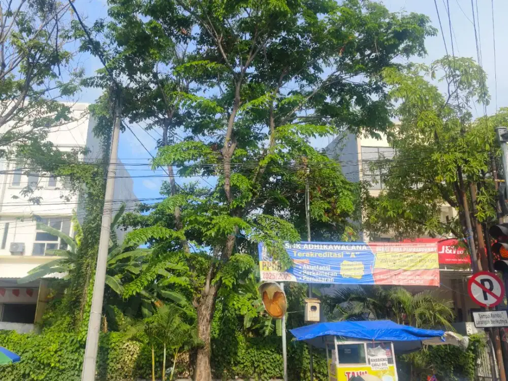 TANAH NOL JALAN RAYA KEPUTIH SANGAT COCOK UNTUK KOMERSIAL