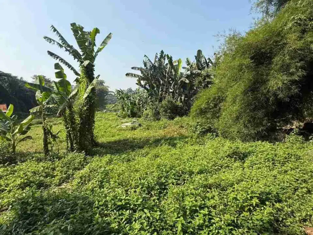 Tanah Luas Siap Bangun Di Pejaten Barat Jaksel